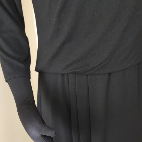 Ann Taylor Petite Black Drop Waist Pleated Dress 3/4 Sleeve 10P - Picture 4 of 12
